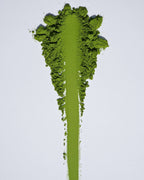 Kyou no Mukashi, Superior Grade Matcha - Yamada Chaya