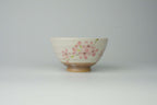 Rikyu Chawan Sakura - Traditional Matcha Tea Bowl - Yamada Chaya